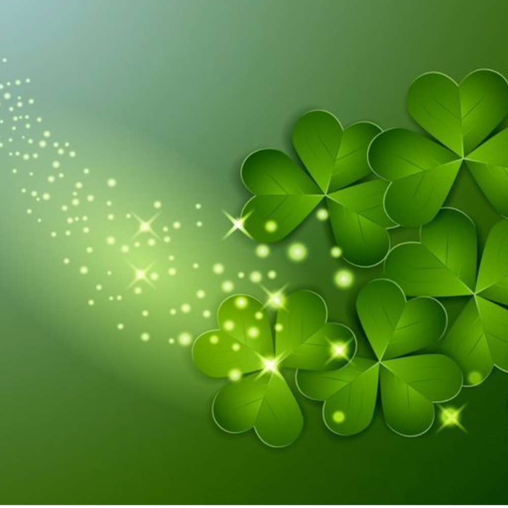 🤍💚Welcome to my closet! Cherie